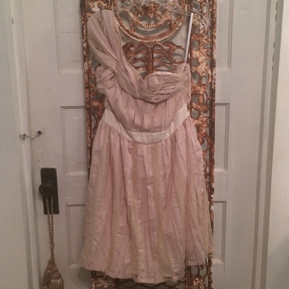 Beautiful cream and light pink dress with lace NWT